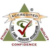 Accredited by the Tree Care Industry Association (TCIA)