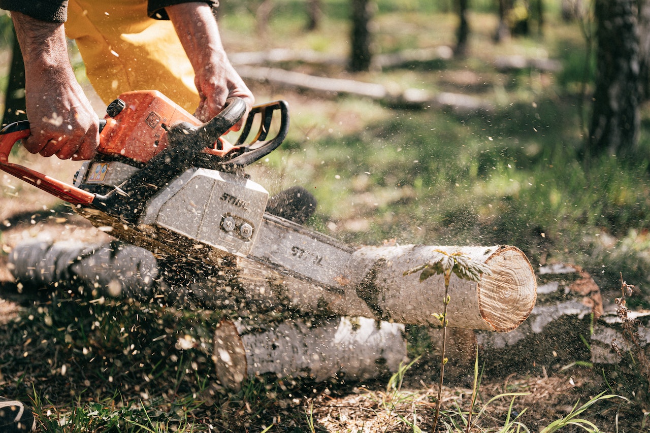 person cutting a tree limb with a chainsaw