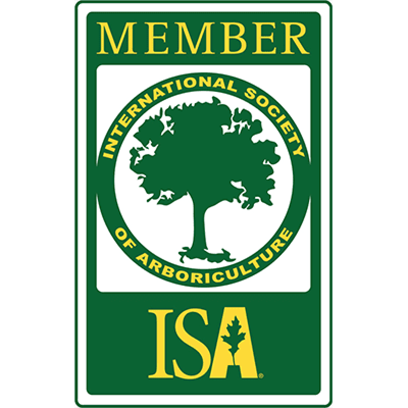 member of the International Society of Arboriculture (ISA)