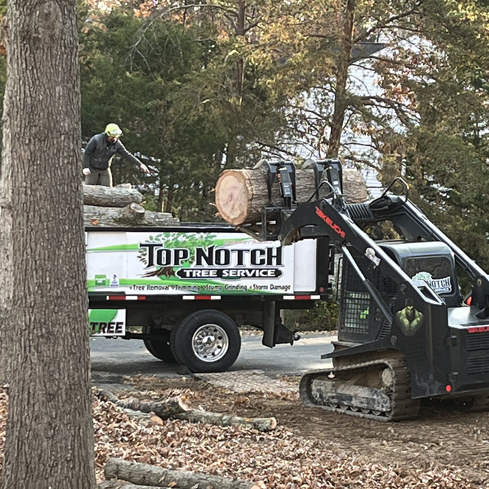 Top Notch Tree Service, Inc. removing a tree