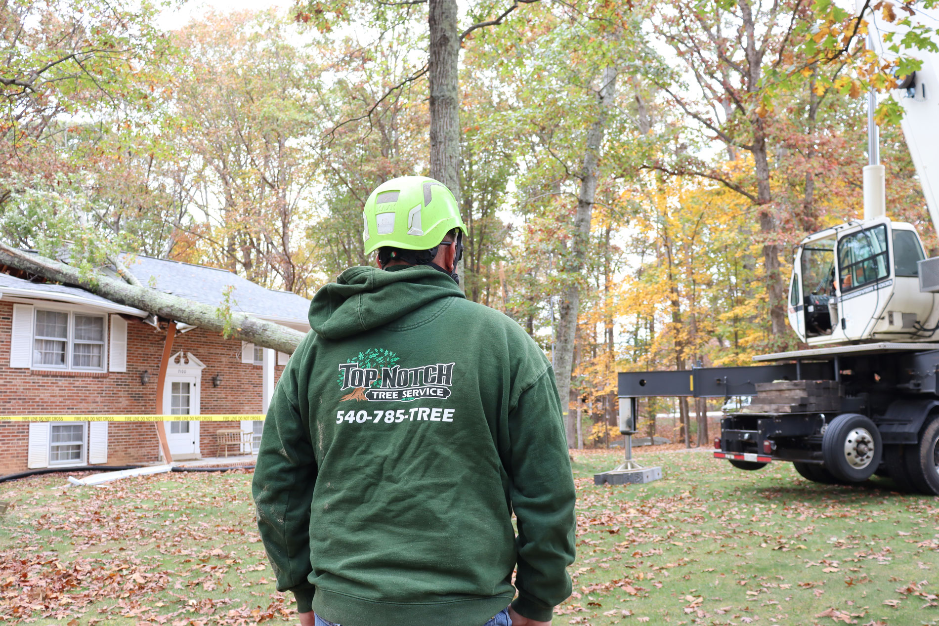 Professional Expert Tree Service in Fredericksburg VA